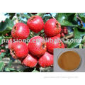 Best selling Hawthorn Berry Extract 10% flavones from natural hawthorn berry